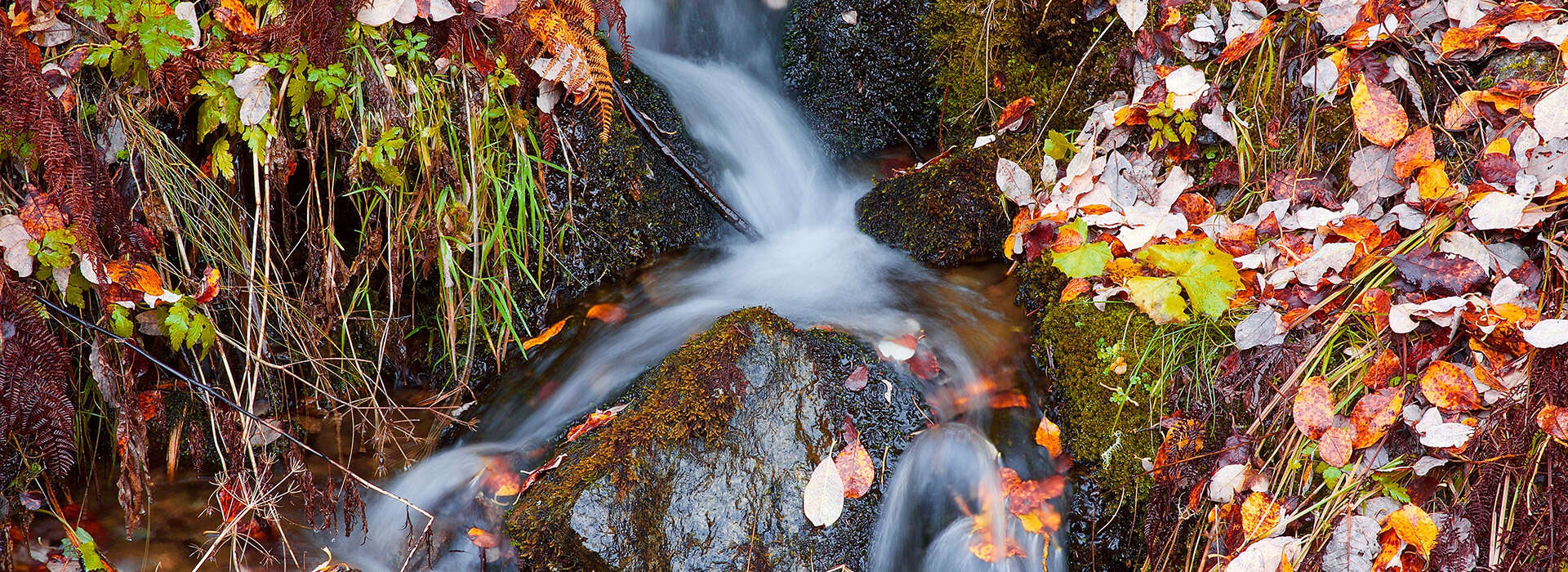 Bach im Herbst