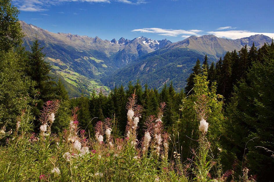 Ausblick ins Tal in Tirol