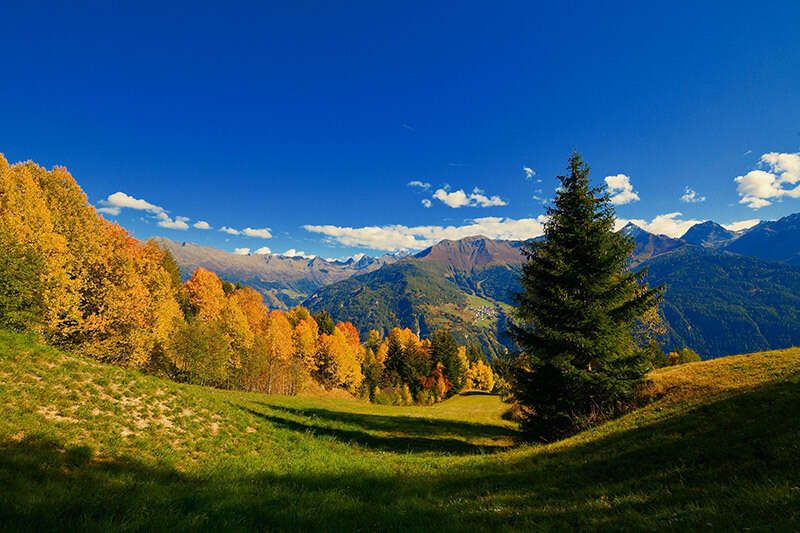 Herbstlandschaft mit Bergkette im Hintergrund